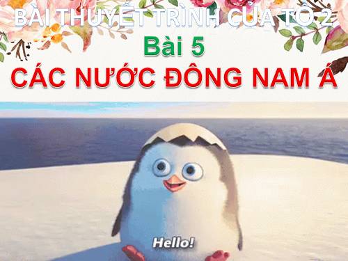 Bài 5. Các nước Đông Nam Á