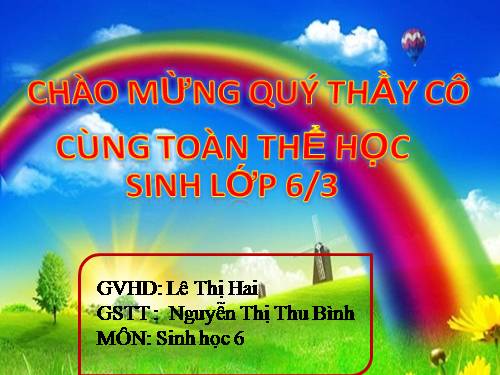 Bài 13. Cấu tạo ngoài của thân