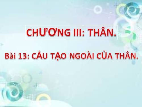 Bài 13. Cấu tạo ngoài của thân