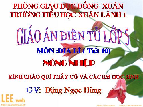 Bài 10. Nông nghiệp