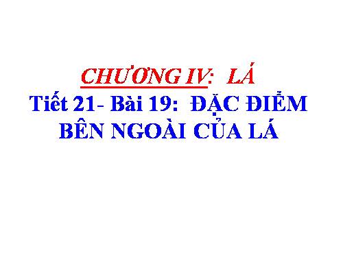 Bài 19. Đặc điểm bên ngoài của lá