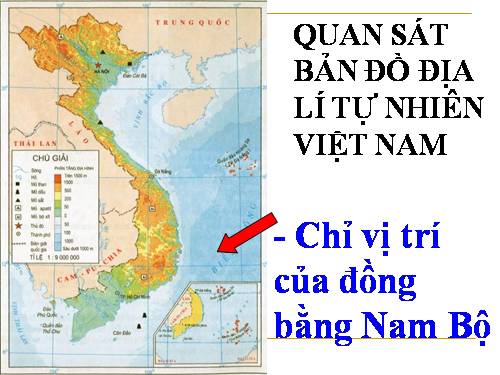 Bài 17. Đồng bằng Nam Bộ