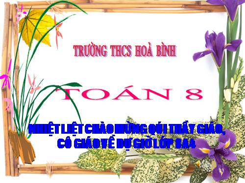 Chương I. §11. Chia đa thức cho đơn thức