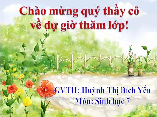 Bài 17. Một số giun đốt khác và đặc điểm chung của ngành Giun đốt