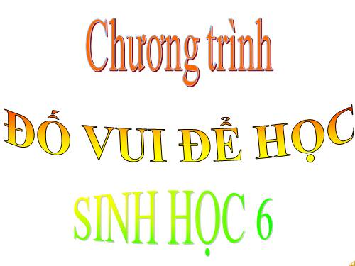 on tap tiet 20 học kì 1