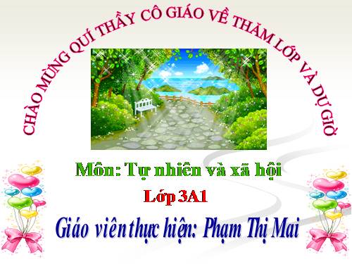 Bài 19. Các thế hệ trong một gia đình