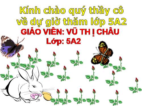 Tuần 8. Kì diệu rừng xanh