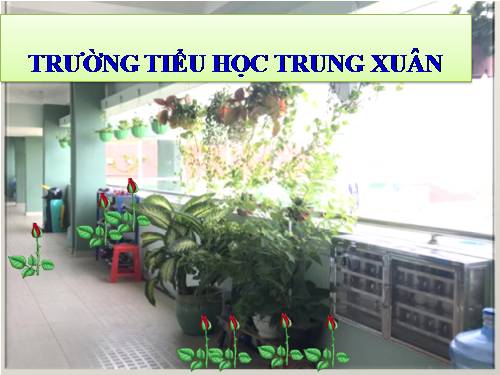 Tuần 9. Cái gì quý nhất?