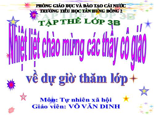 Bài 19. Các thế hệ trong một gia đình