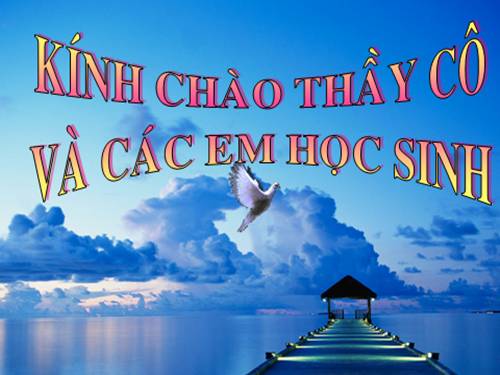 Bài 19. Đặc điểm bên ngoài của lá