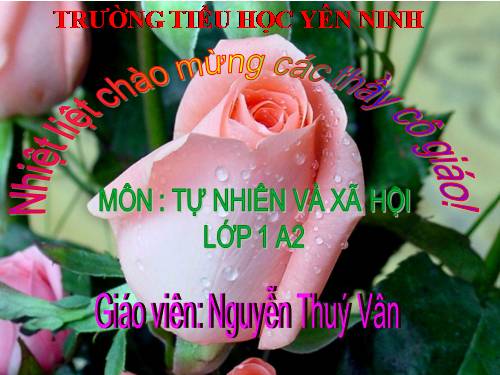 Bài 8. Ăn, uống hàng ngày