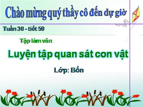 Tuần 30. Luyện tập quan sát con vật