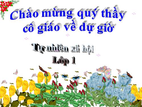 Bài 17. Giữ gìn lớp học sạch, đẹp