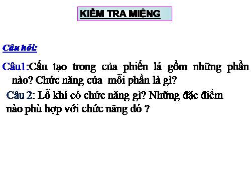 Bài 21. Quang hợp