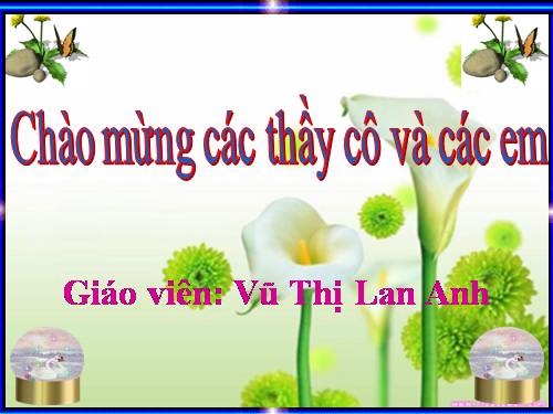 Bài 8. Lục Vân Tiên cứu Kiều Nguyệt Nga