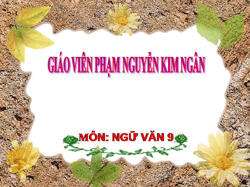 Bài 6. Chị em Thúy Kiều