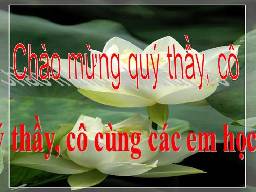 Bài 2. Đấu tranh cho một thế giới hoà bình
