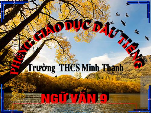 Bài 5. Hoàng Lê nhất thống chí - Hồi thứ mười bốn