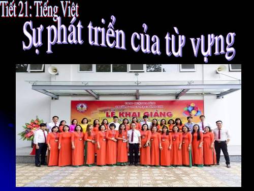 Bài 4. Sự phát triển của từ vựng