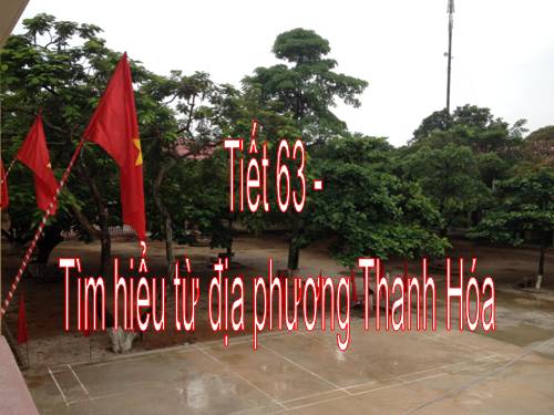 Bài 13. Chương trình địa phương (phần Tiếng Việt)