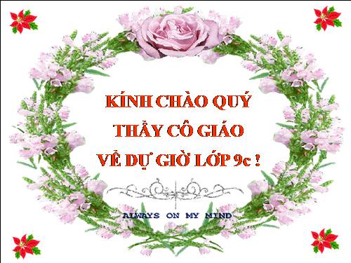 Bài 9. Tổng kết về từ vựng (Từ đơn, từ phức,... từ nhiều nghĩa; Từ đồng âm,... trường từ vựng)