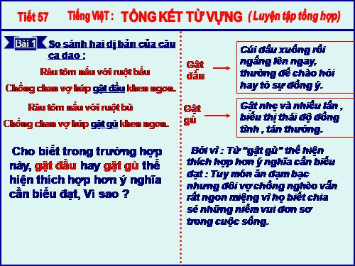 Bài 12. Tổng kết về từ vựng (Luyện tập tổng hợp)