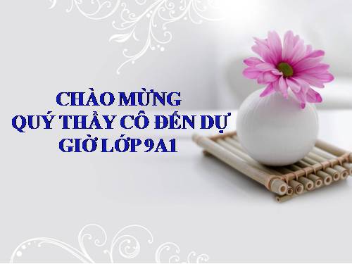 Bài 4. Sự phát triển của từ vựng