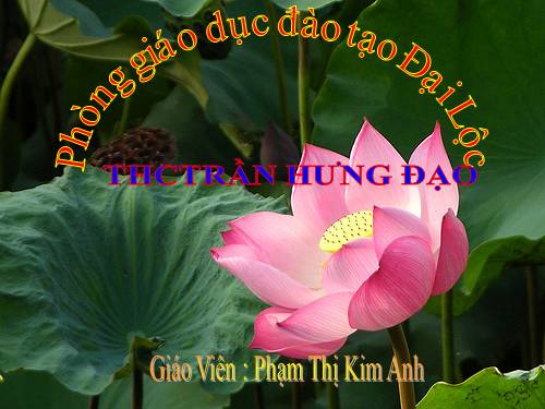 Bài 10. Đồng chí