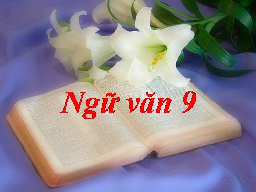 Bài 6. Chị em Thúy Kiều
