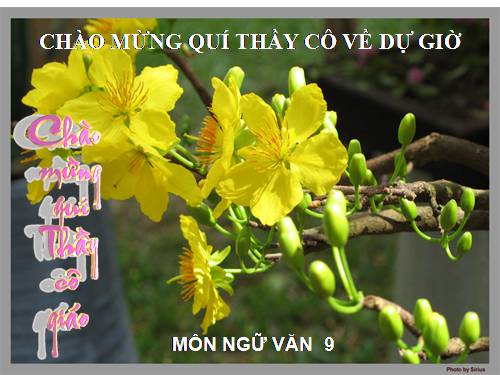 Bài 9. Chương trình địa phương (phần Văn)