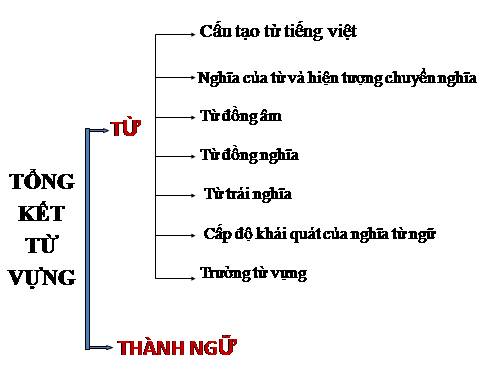 Bài 9. Tổng kết về từ vựng (Từ đơn, từ phức,... từ nhiều nghĩa; Từ đồng âm,... trường từ vựng)
