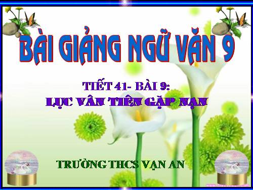 Bài 9. Lục Vân Tiên gặp nạn