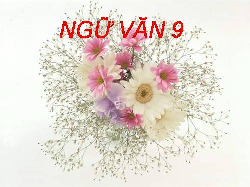 Bài 2. Luyện tập sử dụng yếu tố miêu tả trong văn bản thuyết minh