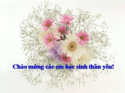 Bài 2. Luyện tập sử dụng yếu tố miêu tả trong văn bản thuyết minh