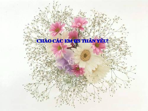 Bài 1. Các phương châm hội thoại