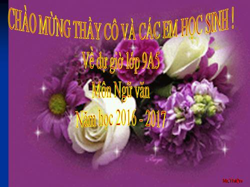 Bài 16. Cố hương