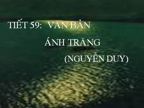 Bài 12. Ánh trăng