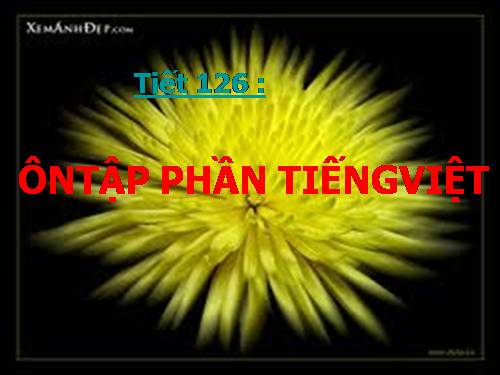 ÔN TẬP T. VIỆT - 9 -T 193--