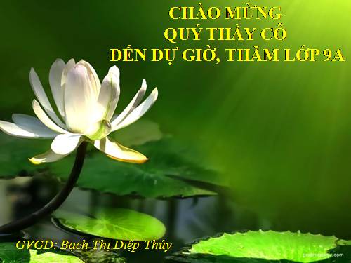 Bài 23. Mùa xuân nho nhỏ