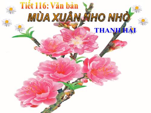 Bài 23. Mùa xuân nho nhỏ