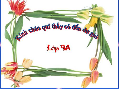Bài 16. Cố hương