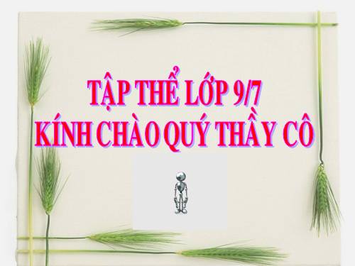 Bài 11. Tổng kết về từ vựng (Từ tượng thanh, tượng hình, một số phép tu từ từ vựng)
