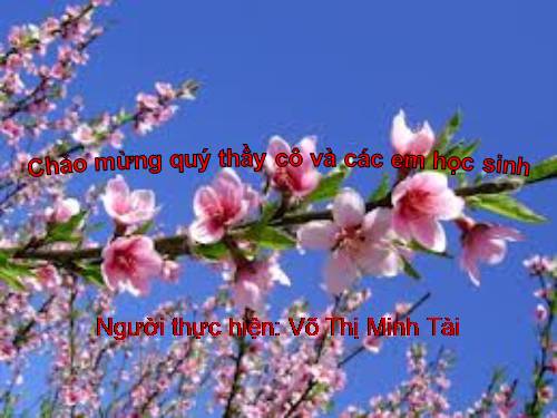 Bài 6. Cảnh ngày xuân
