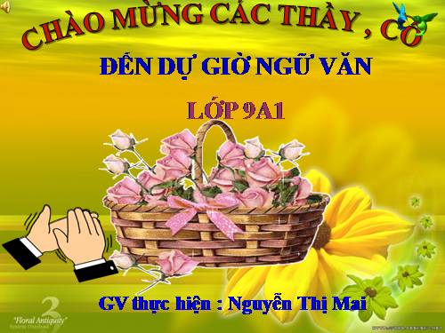 Bài 11. Tổng kết về từ vựng (Từ tượng thanh, tượng hình, một số phép tu từ từ vựng)
