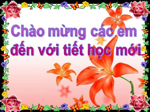 Bài 10. Bài thơ về tiểu đội xe không kính