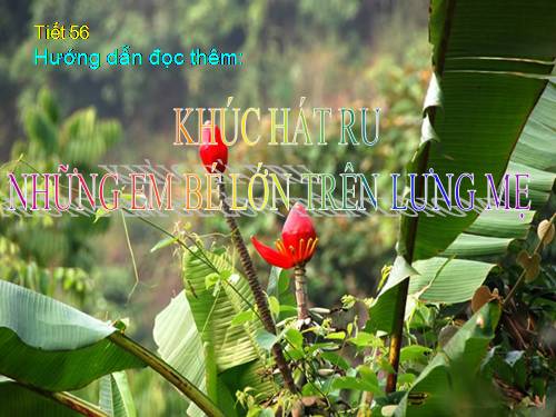Bài 12. Khúc hát ru những em bé lớn trên lưng mẹ