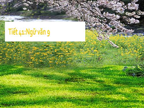 Bài 9. Chương trình địa phương (phần Văn)