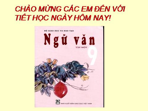 Bài 8. Lục Vân Tiên cứu Kiều Nguyệt Nga