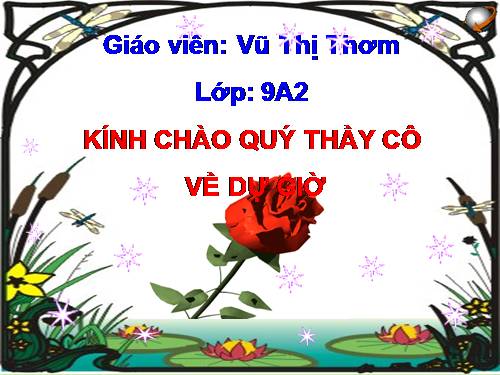Bài 9. Tổng kết về từ vựng (Từ đơn, từ phức,... từ nhiều nghĩa; Từ đồng âm,... trường từ vựng)