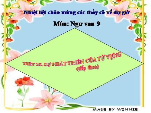 Bài 5. Sự phát triển của từ vựng (tiếp theo)
